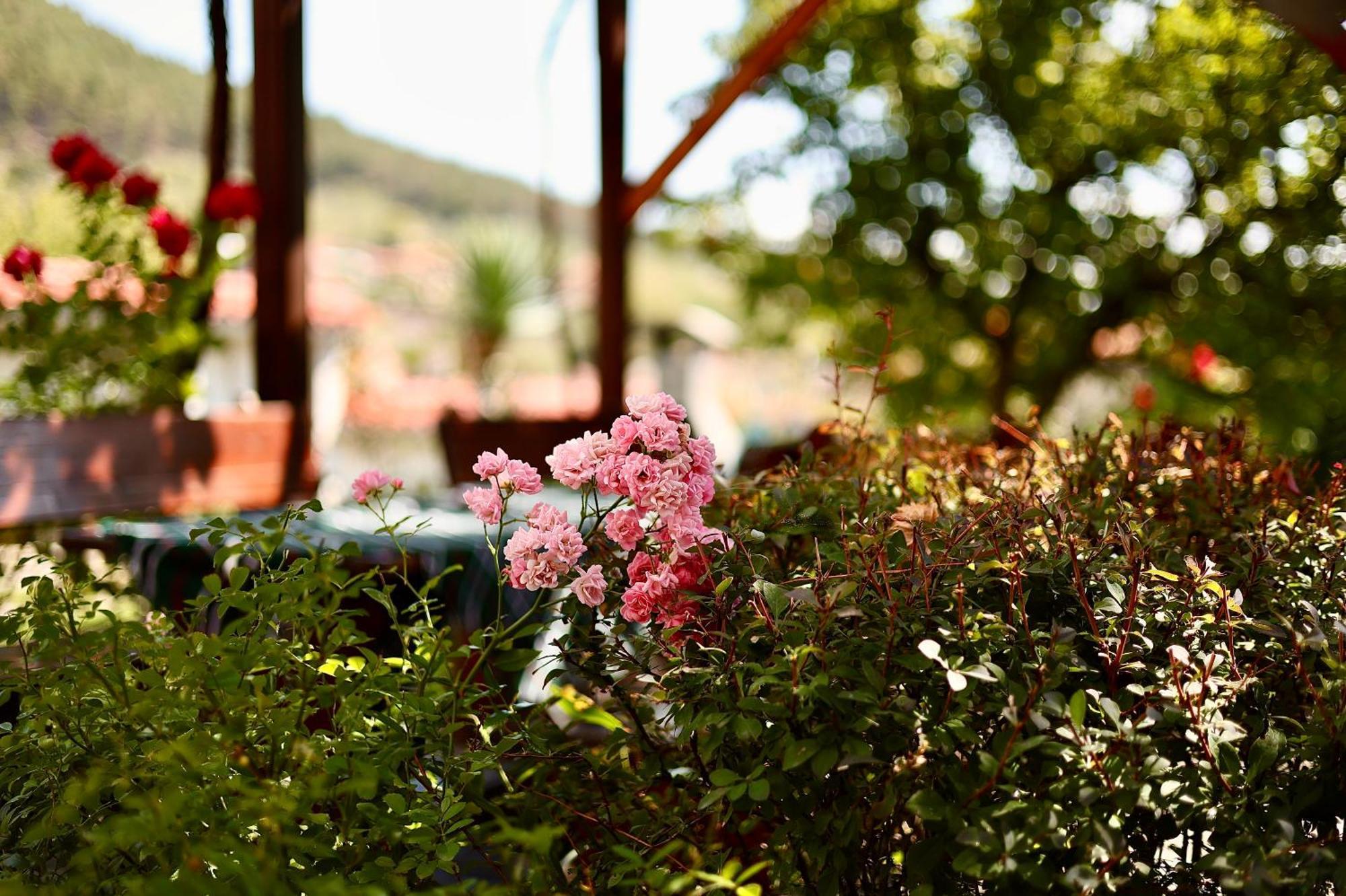 Iliikova House Hotel Kalofer Exterior foto